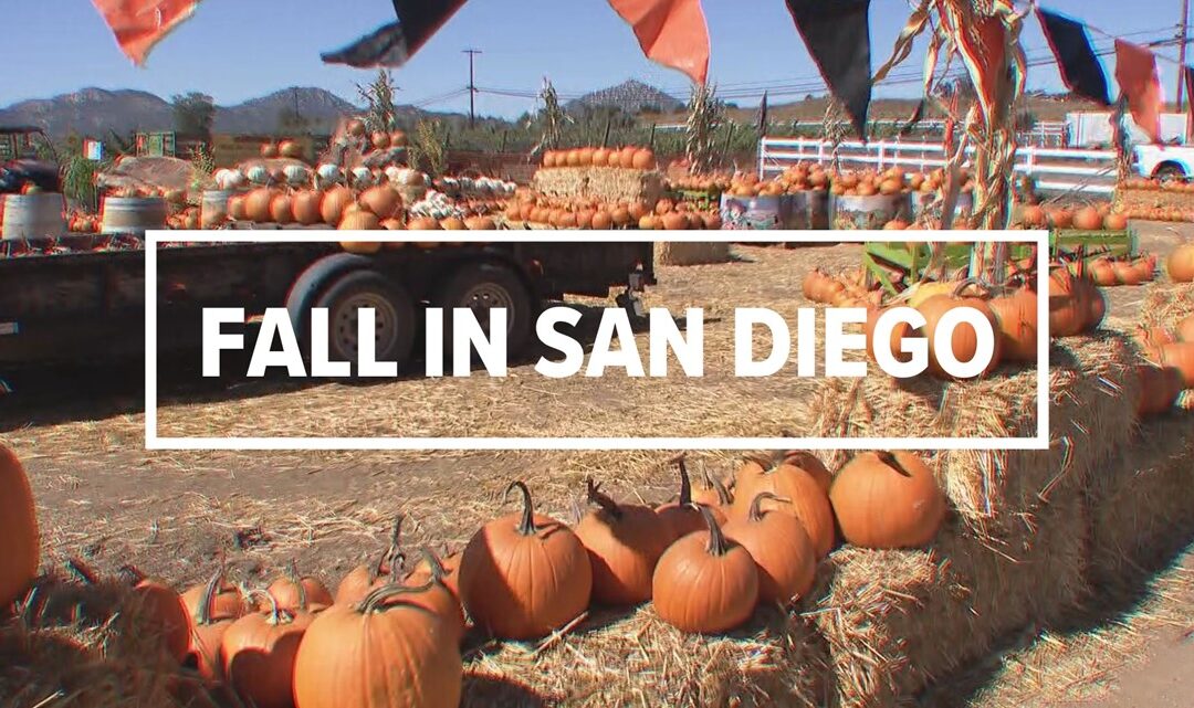 It’s Officially Fall: San Diego HVAC & Home Tips for the Season