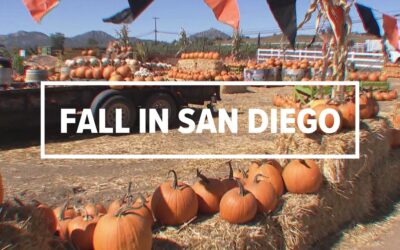 It’s Officially Fall: San Diego HVAC & Home Tips for the Season